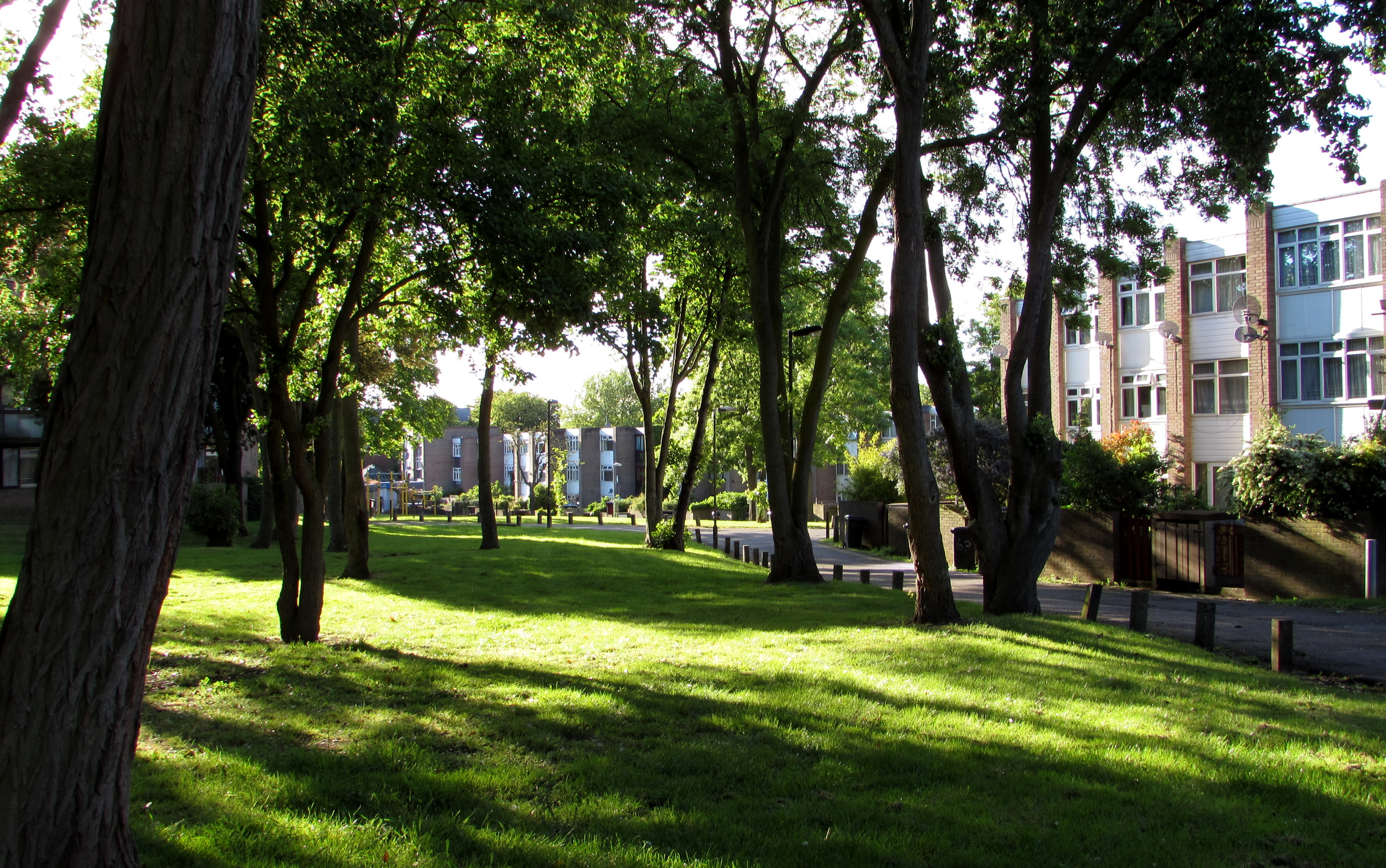 Summer evening on the estate