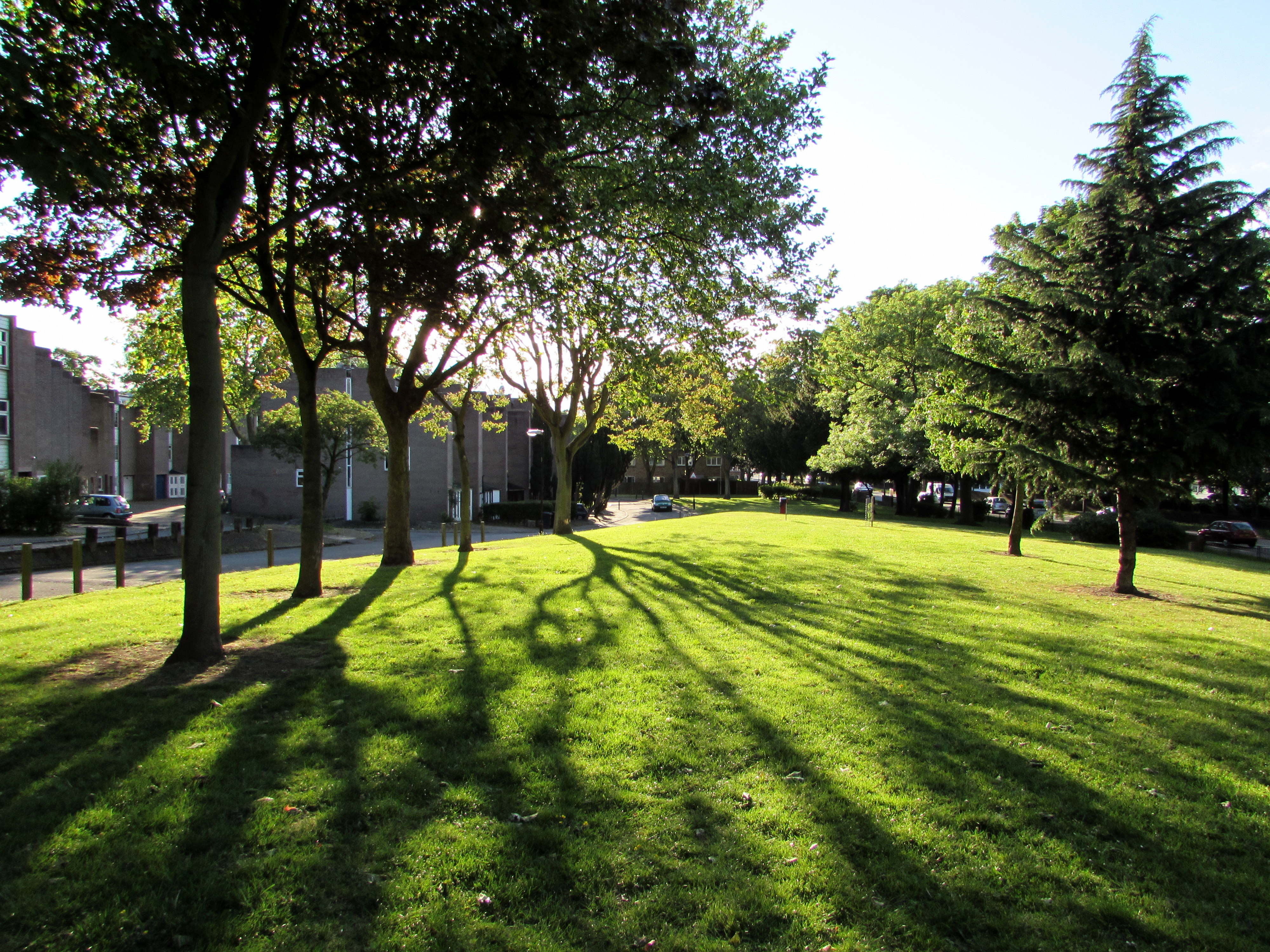 Summer evening on the estate