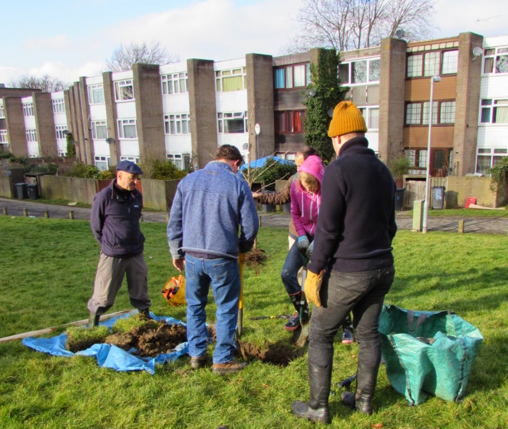 Open Orchard Project tree planting