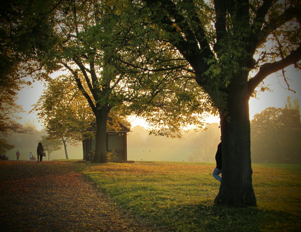 Brockwell Park autumn sunset